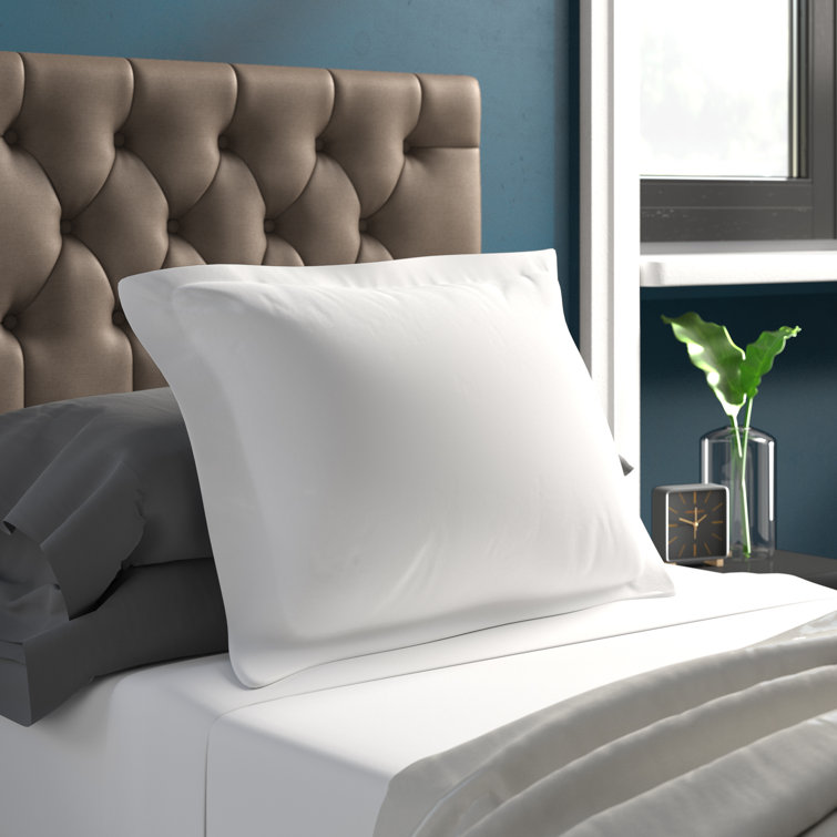 Belledorm Cotton Blend/Polyester Percale Pillowcase & Reviews Wayfair